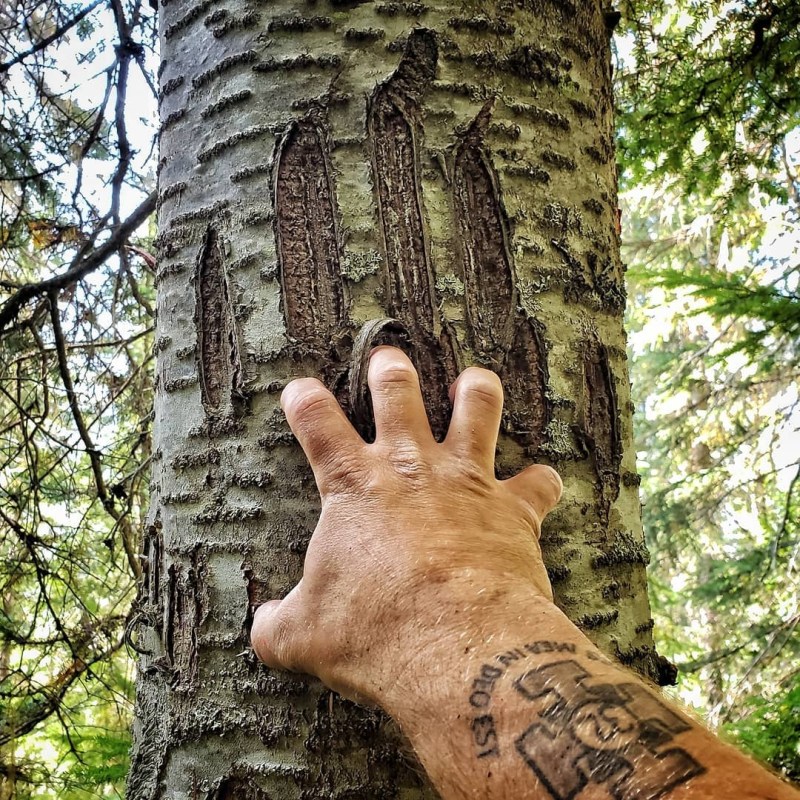 a person standing next to a tree