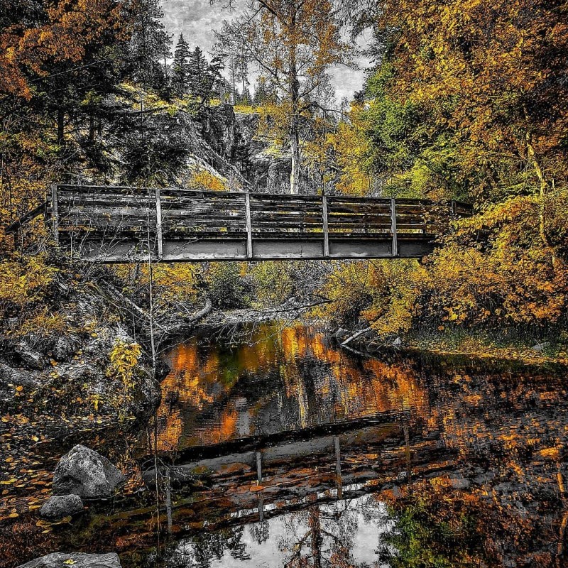 a close up of a pond