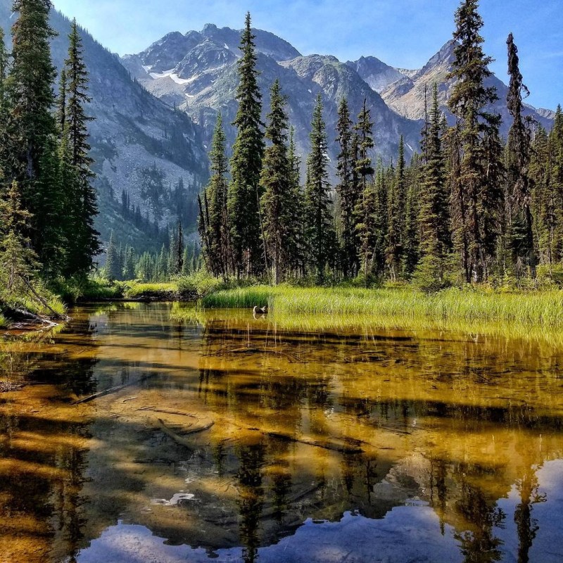 a pond with a mountain in the background