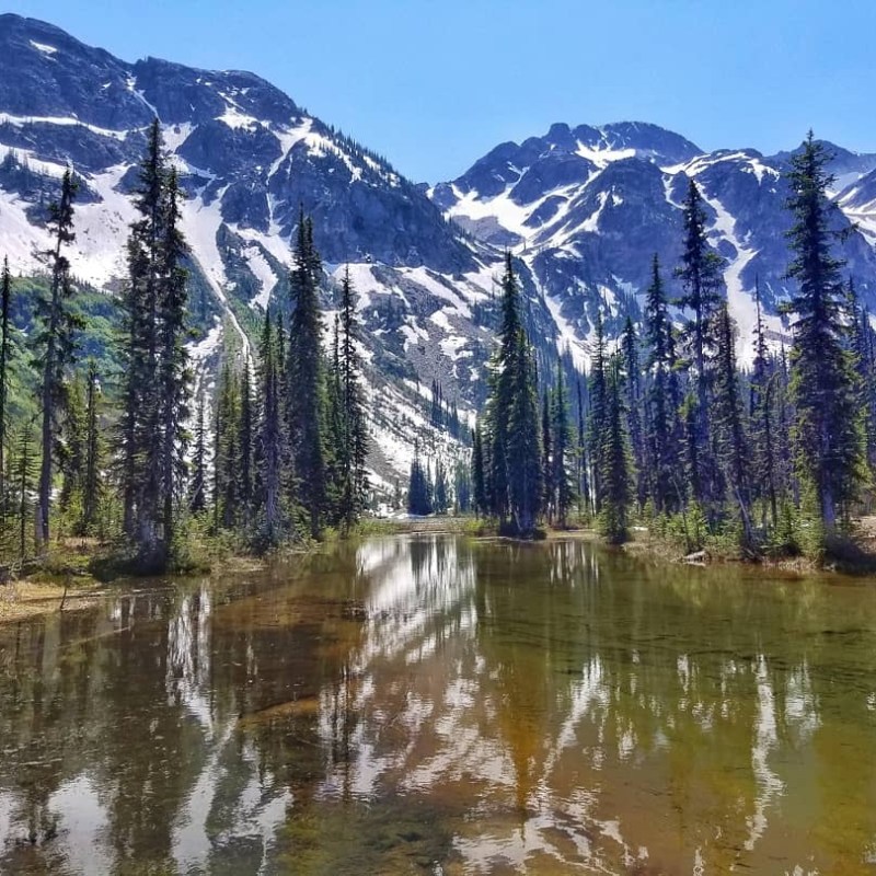 a pond with a mountain in the background