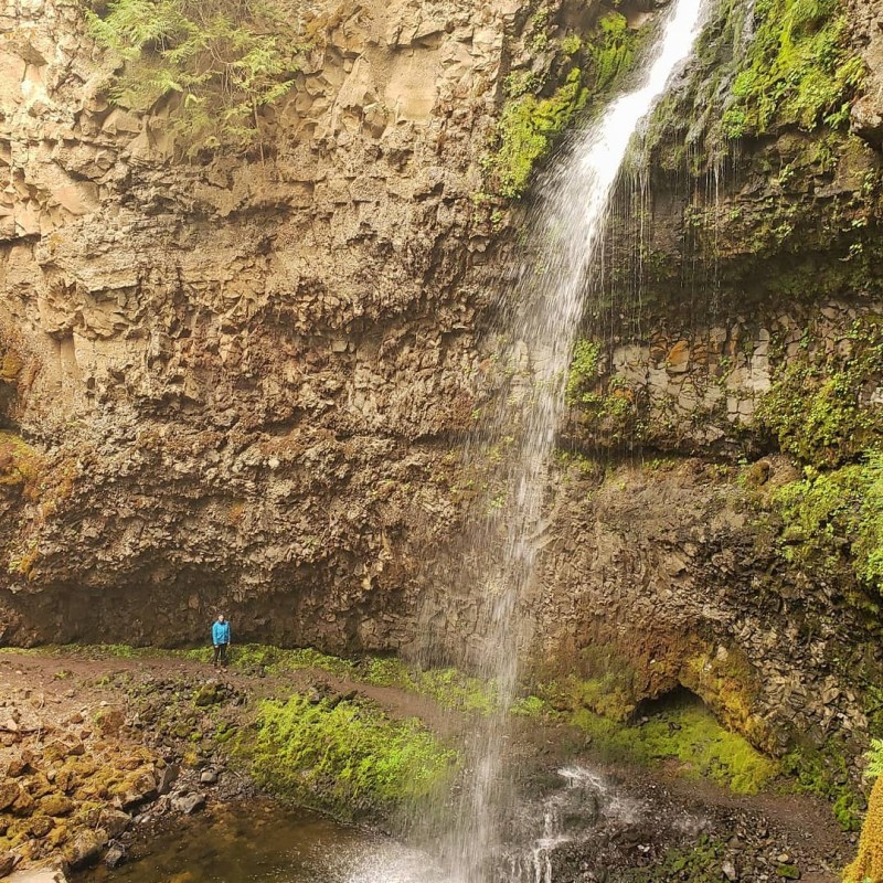 a waterfall with trees in the background