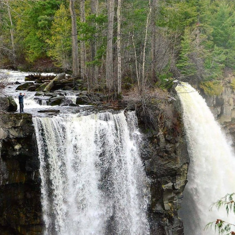 a waterfall in a forest