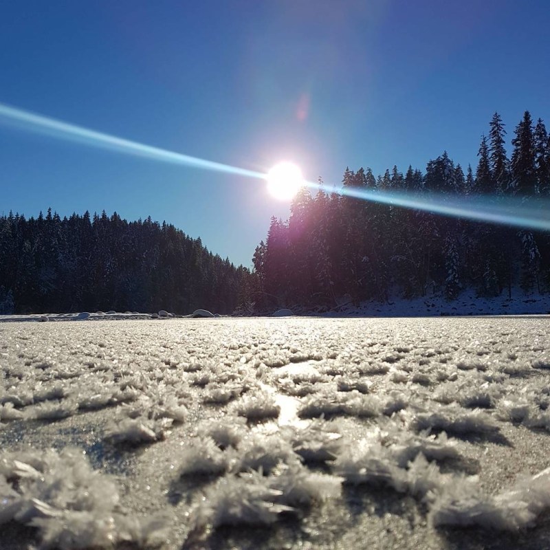 a snow covered field