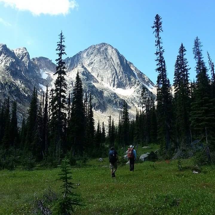 a group of people in a forest