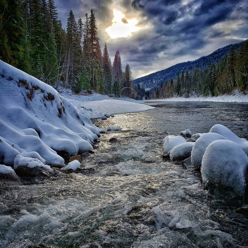 a herd of sheep standing on top of a snow covered field