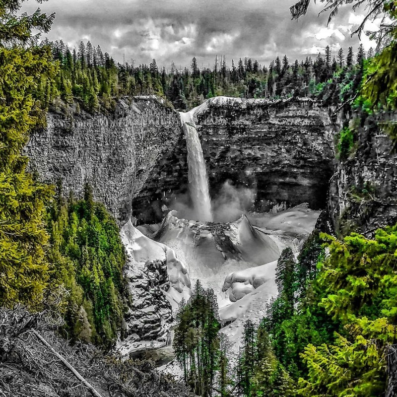 a waterfall surrounded by trees