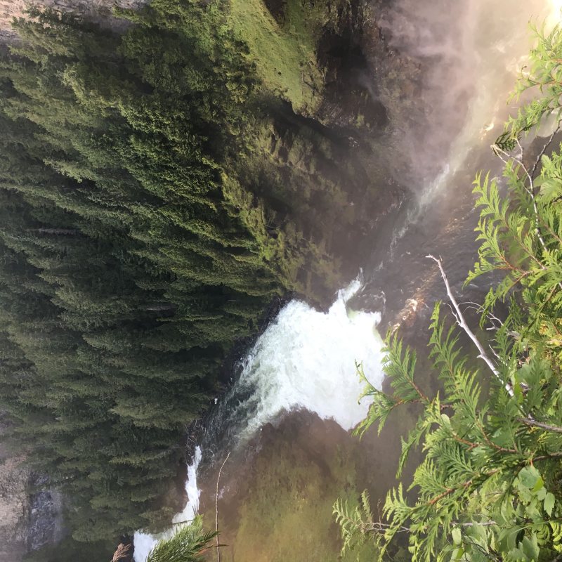 a large waterfall in a forest