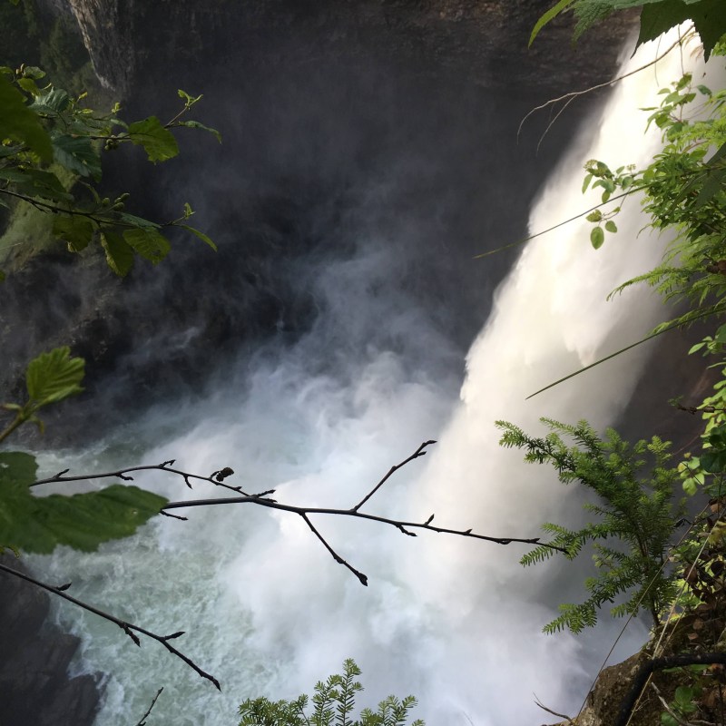 a large waterfall in a forest