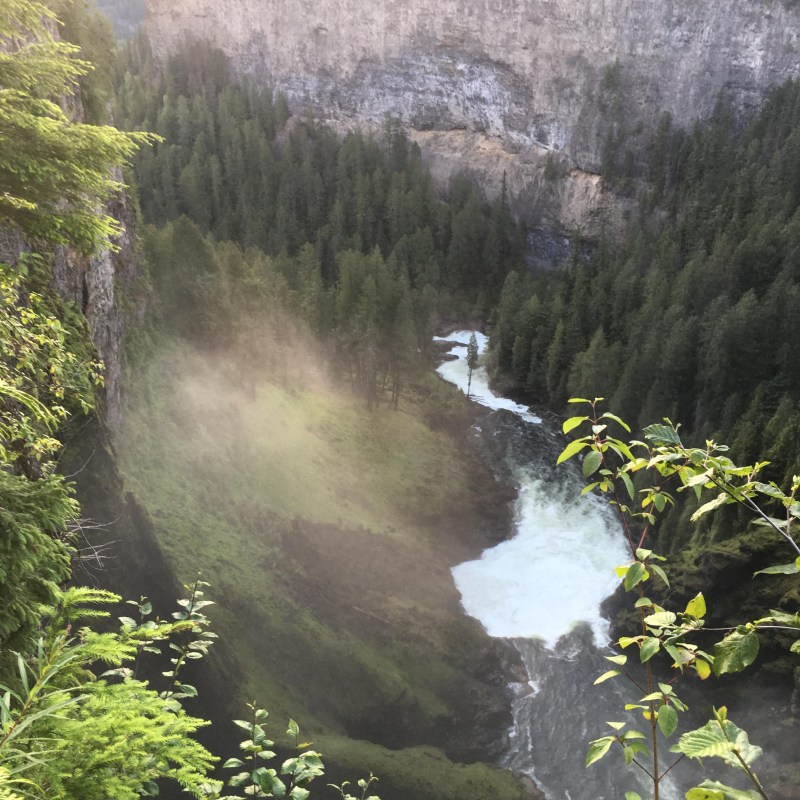 a waterfall surrounded by trees