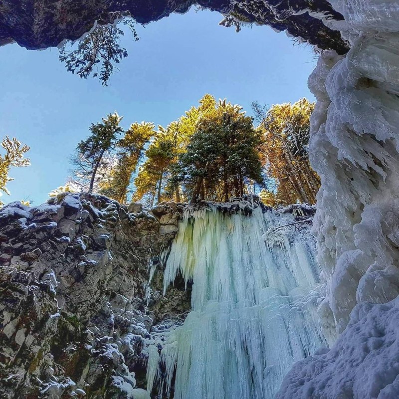a large waterfall next to a tree