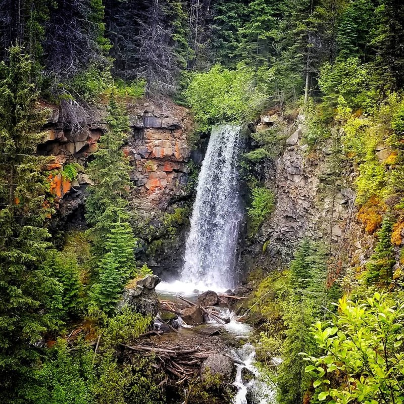 a waterfall in a forest