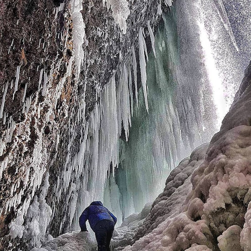 a group of stuffed animals sitting next to a waterfall