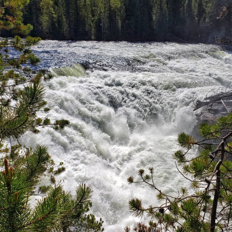 a large waterfall in a forest