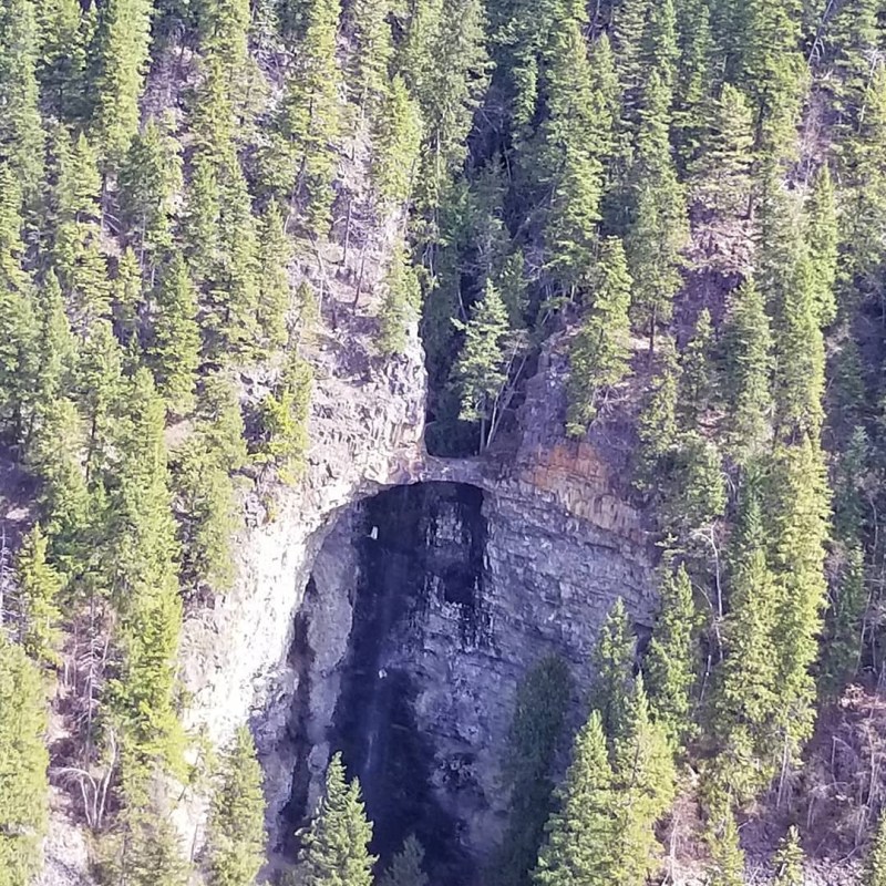 a waterfall in a forest
