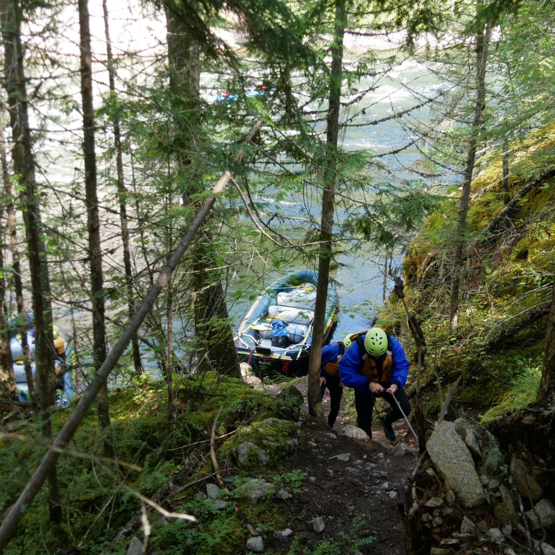a group of people in a forest