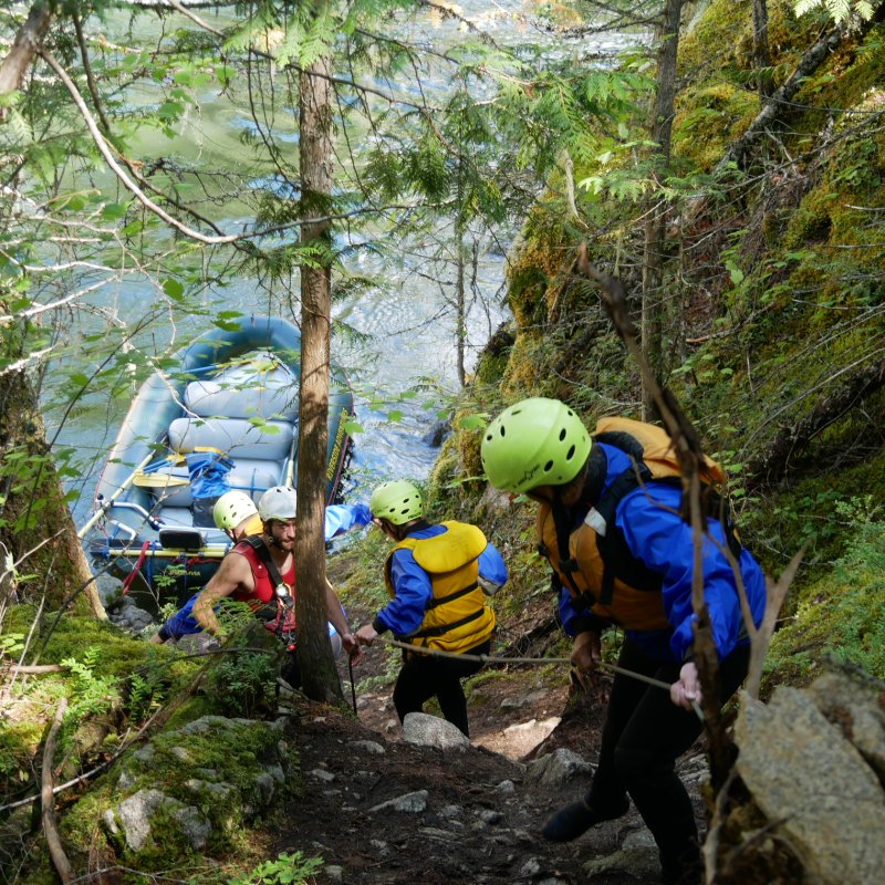 a person standing next to a tree