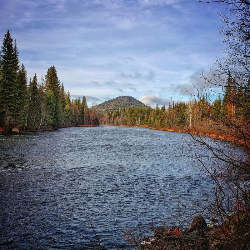 a large body of water surrounded by trees