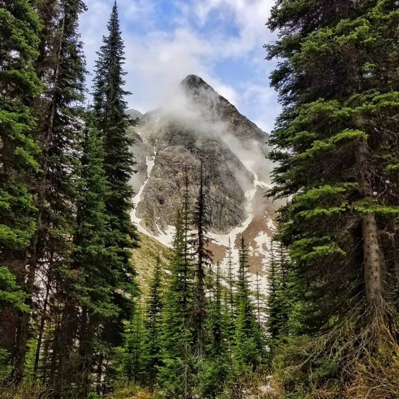 a waterfall in a forest