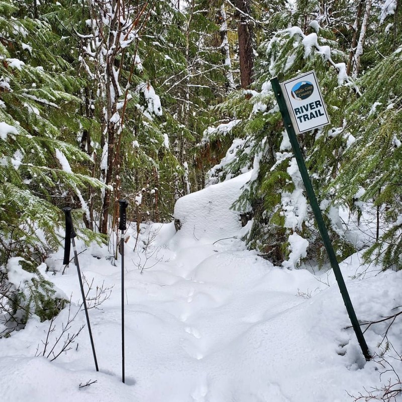 a sign on the side of a snow covered forest