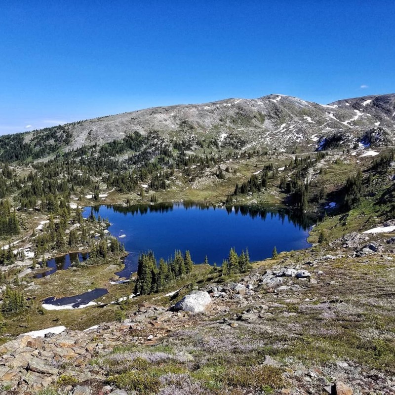 a herd of sheep standing on top of a mountain