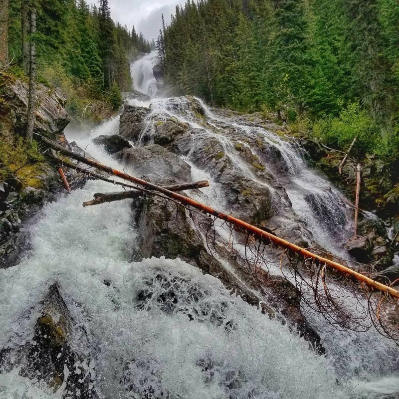 a waterfall in a forest