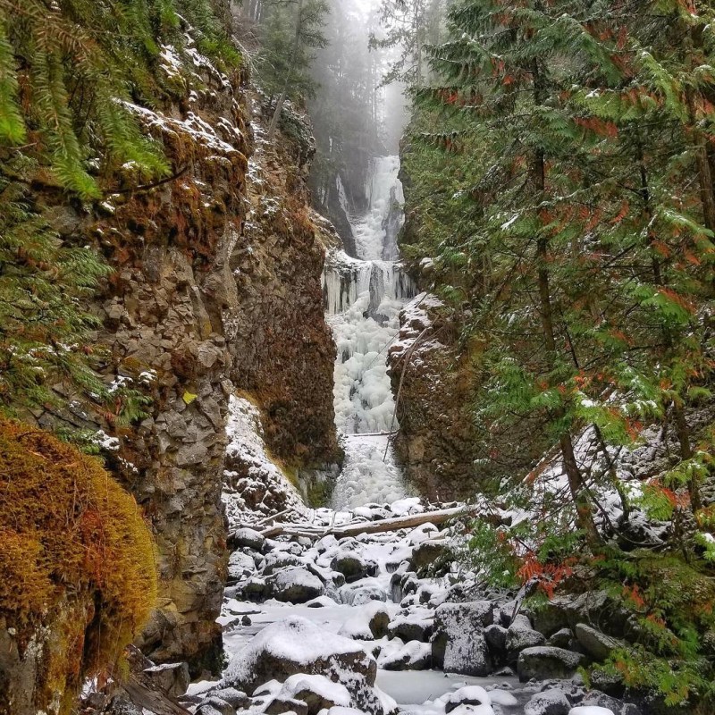 a waterfall in a forest