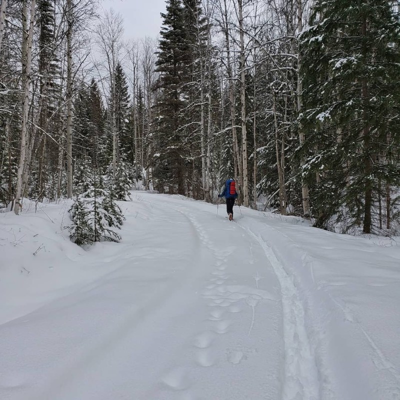 a person riding skis down a snow covered forest