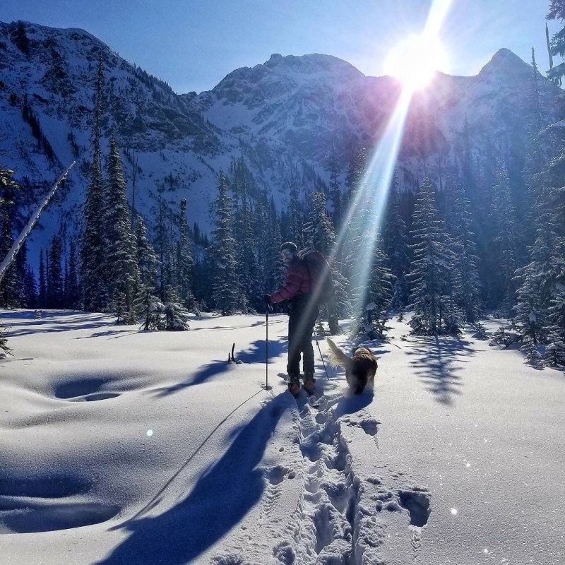 a fire hydrant on the side of a snow covered slope