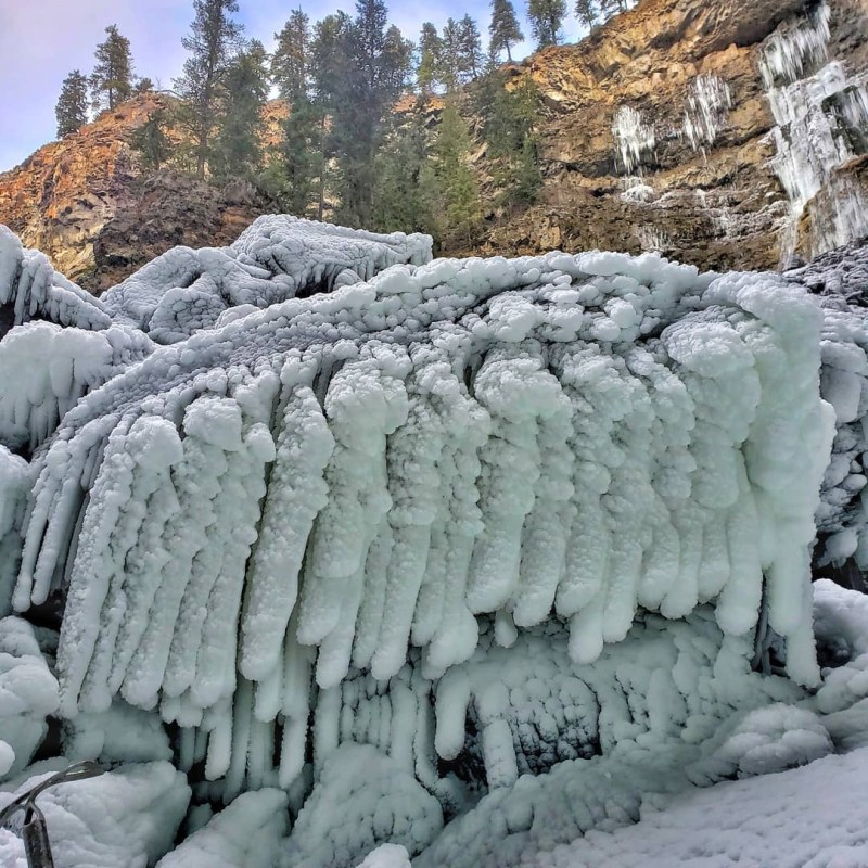 a herd of sheep standing on top of a pile of snow