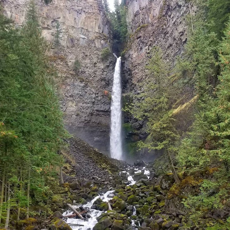a waterfall surrounded by trees