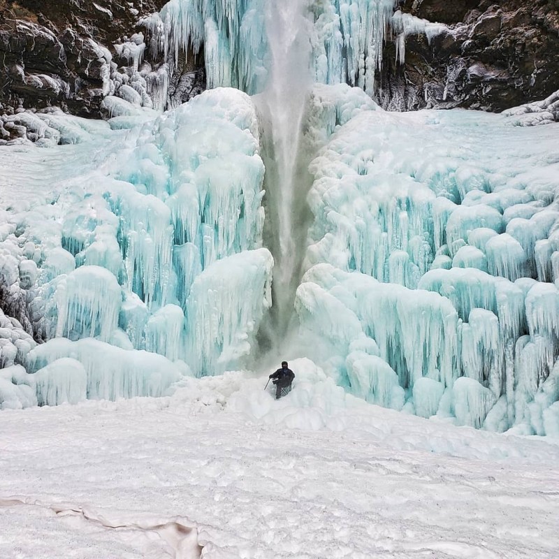 a herd of sheep walking across a snow covered slope