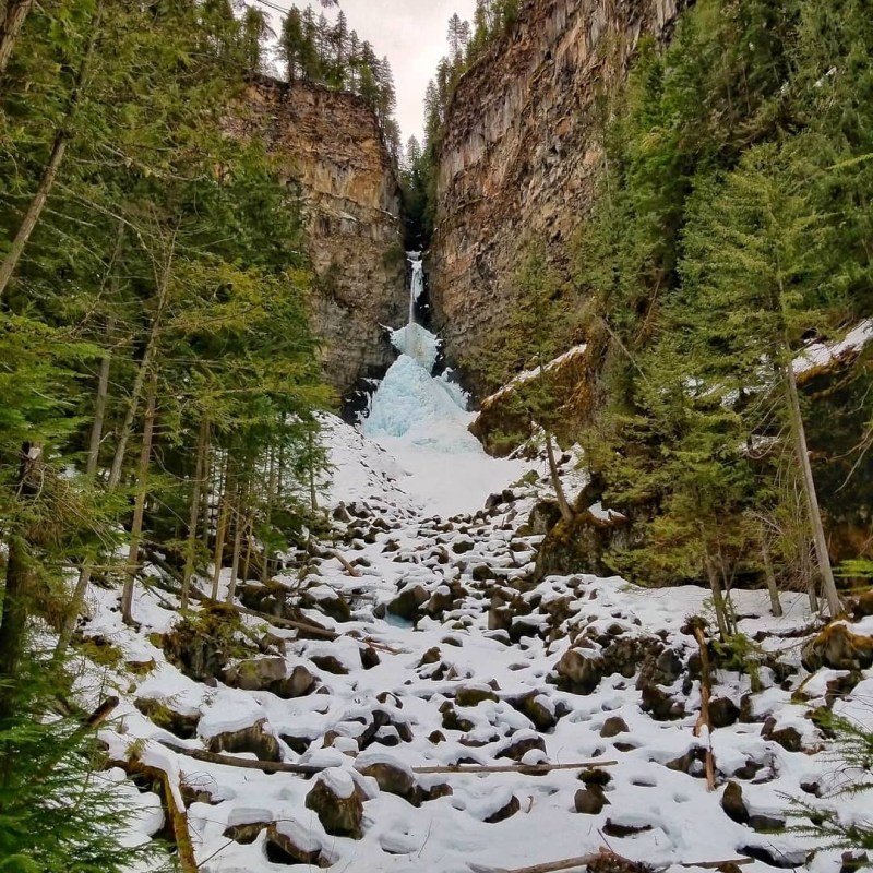 a close up of a hillside covered in snow
