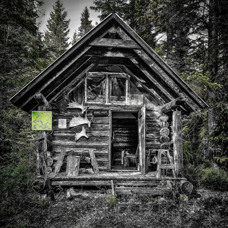 a house with trees in the background