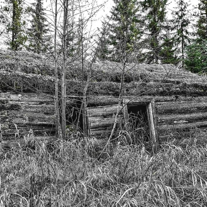 a house with trees in the background