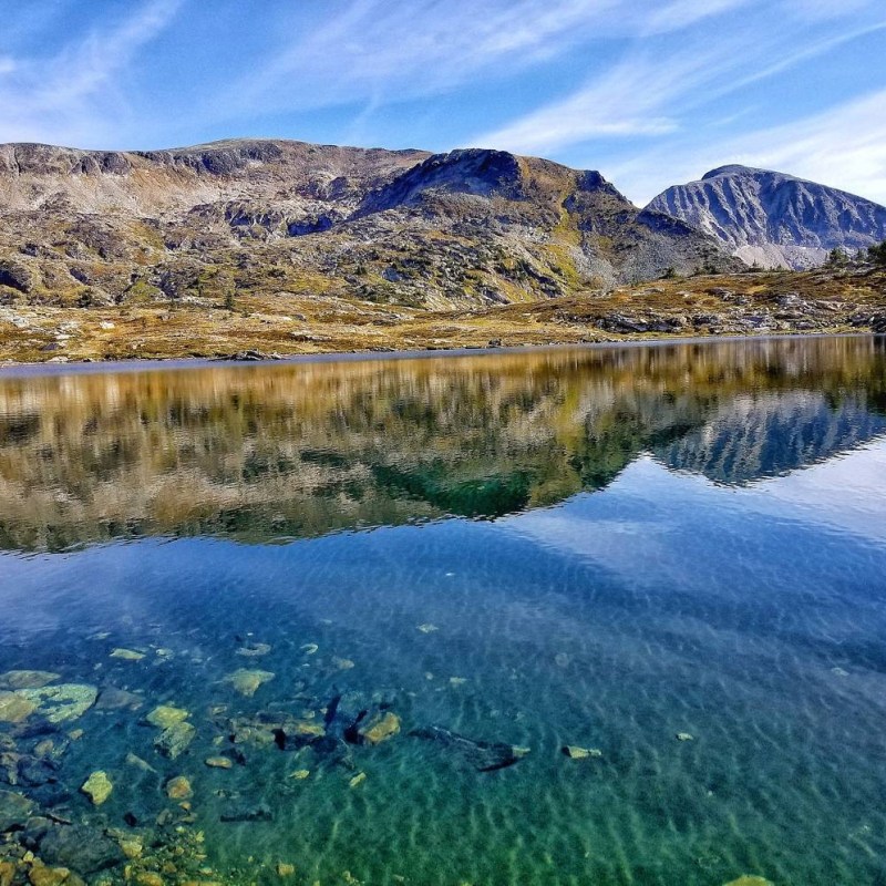 a close up of a hillside next to a body of water