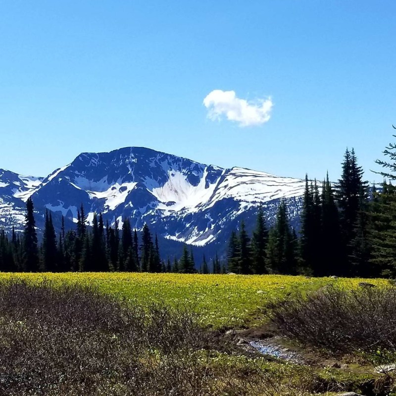 a snow covered mountain