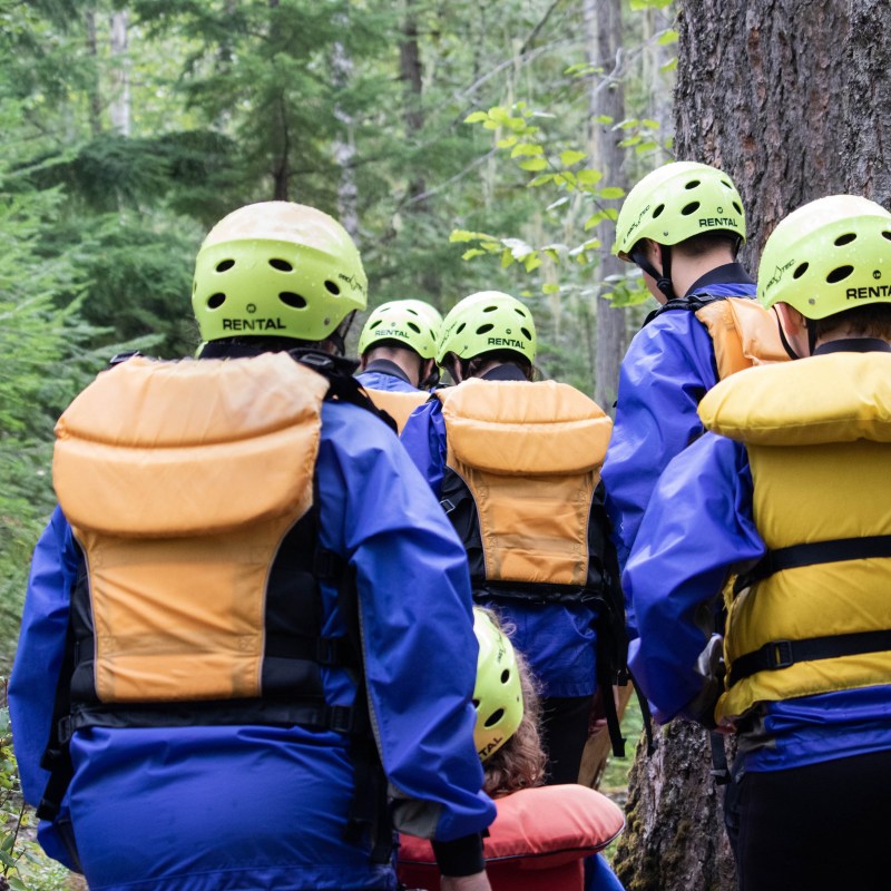 a group of people in a forest