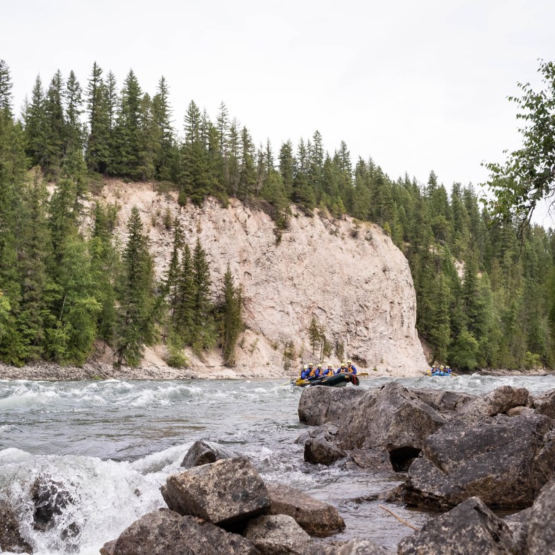 a rocky island in the middle of a forest