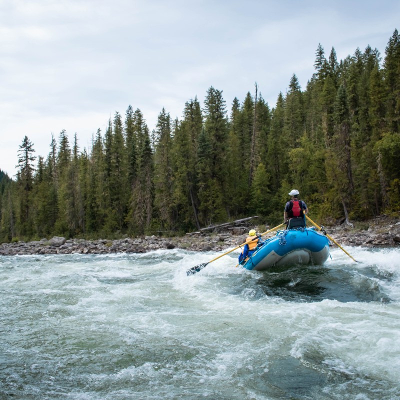 a man riding on the back of a boat next to a forest