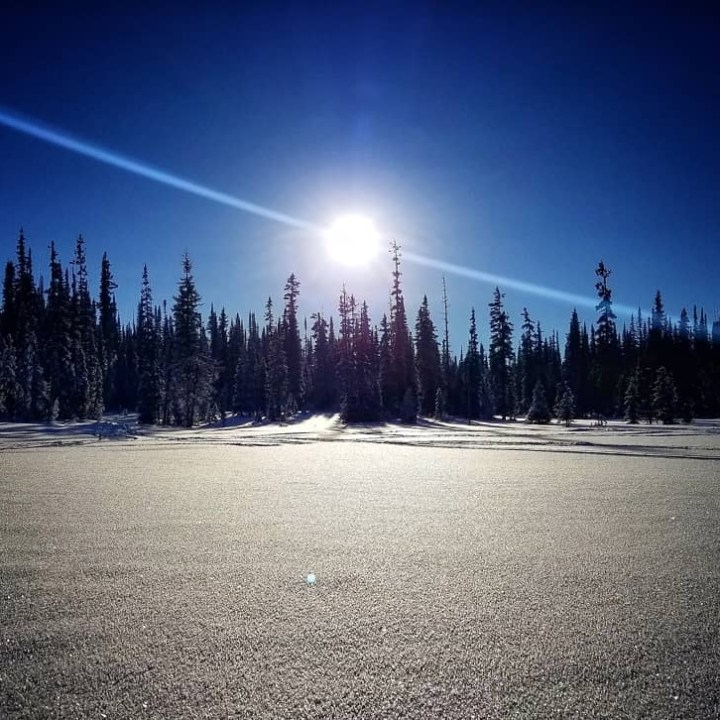 a sky view looking up at night