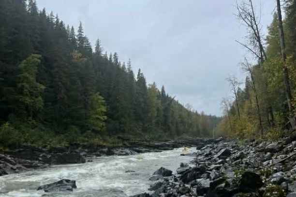 Rocky riverbank with rushing water, surrounded by pine trees and cloudy sky.