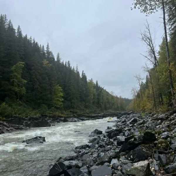 Rocky riverbank with rushing water, surrounded by pine trees and cloudy sky.