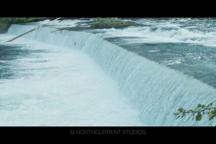 Waterfall flowing over a wide dam with greenery on sides.